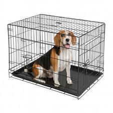2 Door Metal Dog Crate with