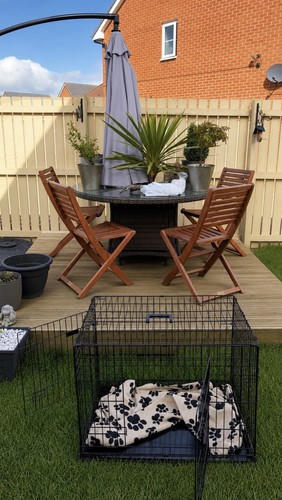 Medium dog cage crate - medium,